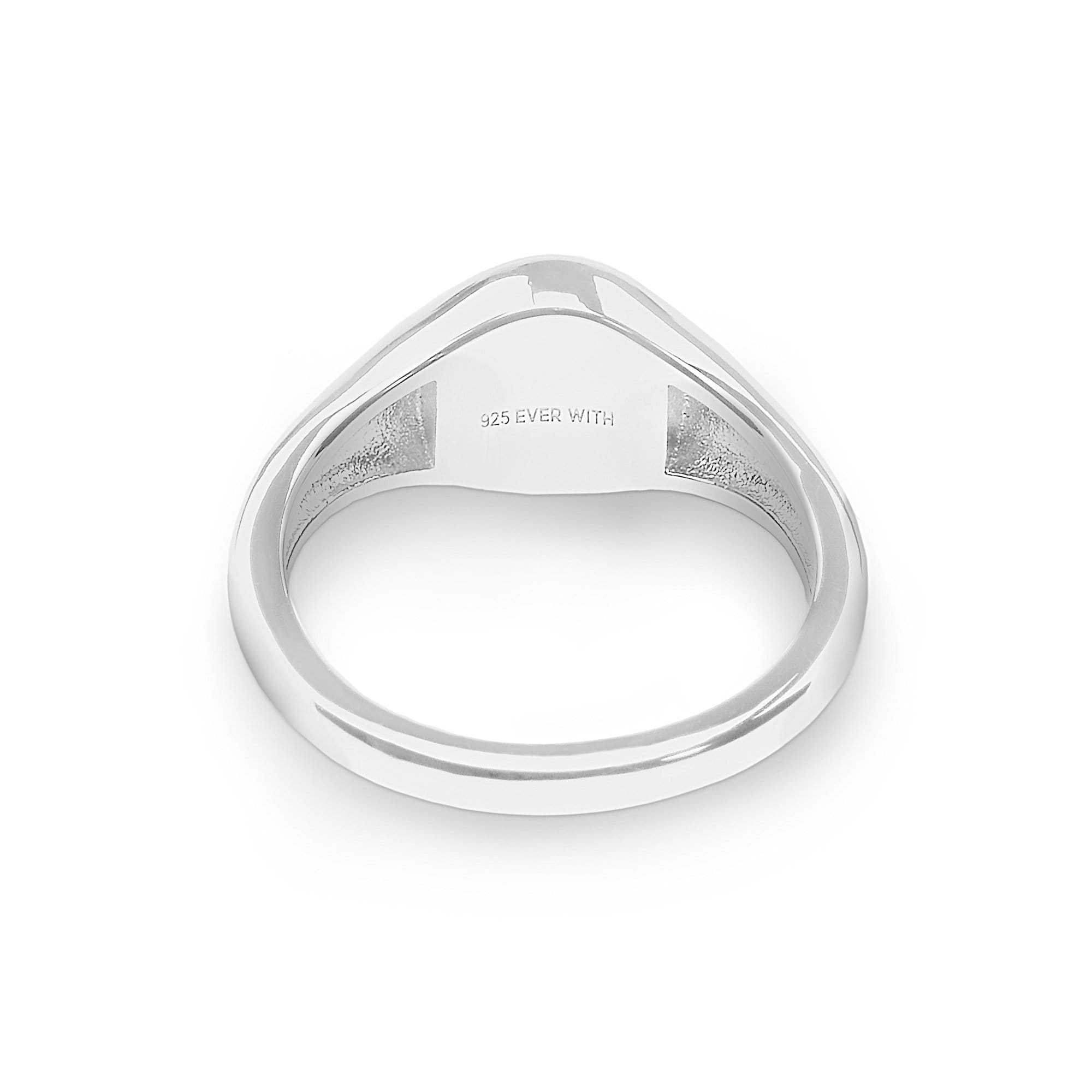 EverWith™ Unisex Pride Memorial Ashes Ring - EverWith Memorial Jewellery - Trade