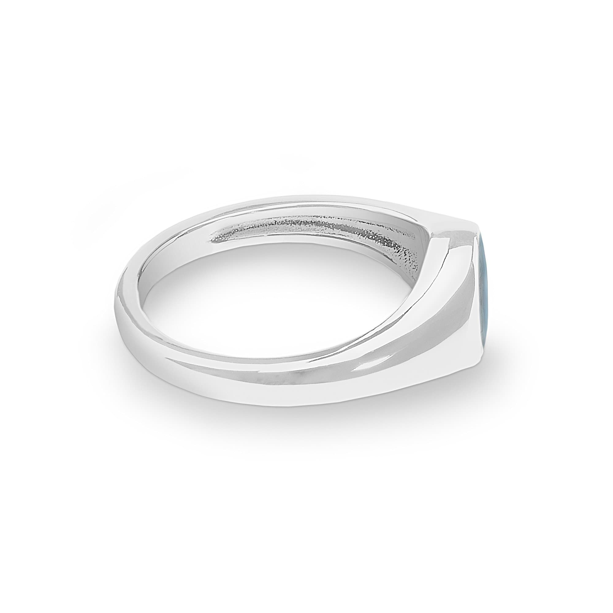EverWith™ Unisex Pride Memorial Ashes Ring - EverWith Memorial Jewellery - Trade