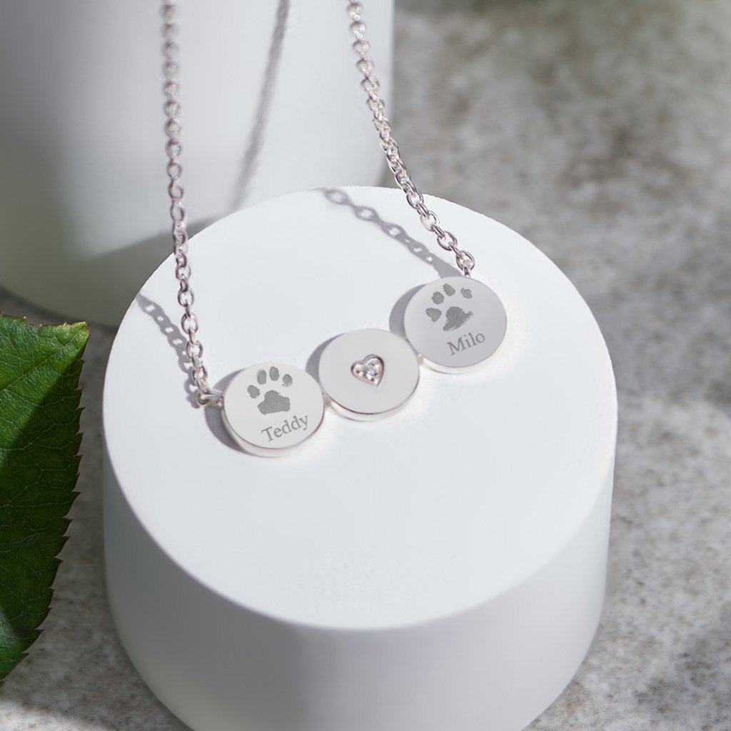 Load image into Gallery viewer, EverWith Engraved Three Circles Pawprint Memorial Necklace with Fine Crystal - EverWith Memorial Jewellery - Trade