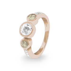 EverWith Ladies Jewel Memorial Ashes Ring with Fine Crystal - EverWith Memorial Jewellery - Trade