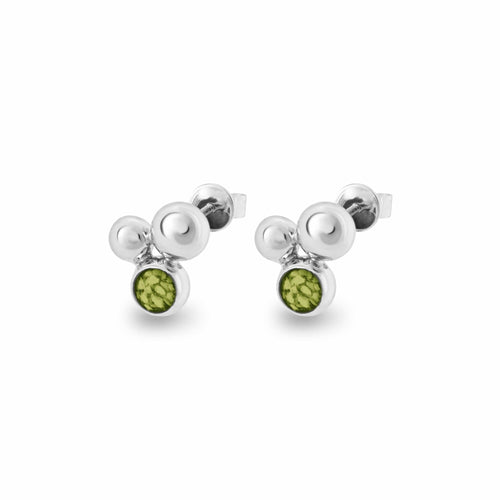 EverWith™ Ladies Rondure Array Memorial Ashes Earrings - EverWith Memorial Jewellery - Trade