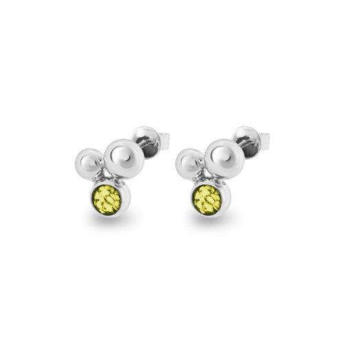 EverWith™ Ladies Rondure Array Memorial Ashes Earrings - EverWith Memorial Jewellery - Trade