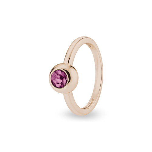 EverWith™ Ladies Rondure Memorial Ashes Ring - EverWith Memorial Jewellery - Trade