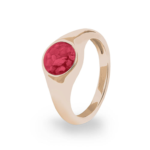 EverWith™ Unisex Pride Memorial Ashes Ring - EverWith Memorial Jewellery - Trade