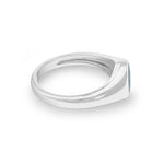 EverWith™ Unisex Pride Memorial Ashes Ring - EverWith Memorial Jewellery - Trade