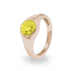 EverWith™ Unisex Pride Memorial Ashes Ring - EverWith Memorial Jewellery - Trade